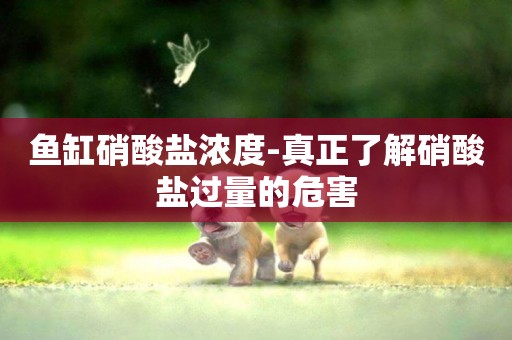 魚缸硝酸鹽濃度-真正了解硝酸鹽過量的危害