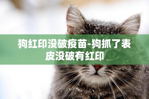 狗紅印沒破疫苗-狗抓了表皮沒破有紅印