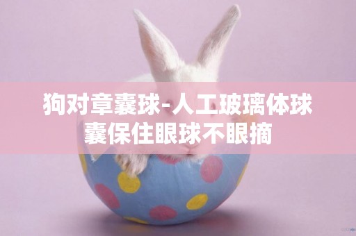 狗對章囊球-人工玻璃體球囊保住眼球不眼摘