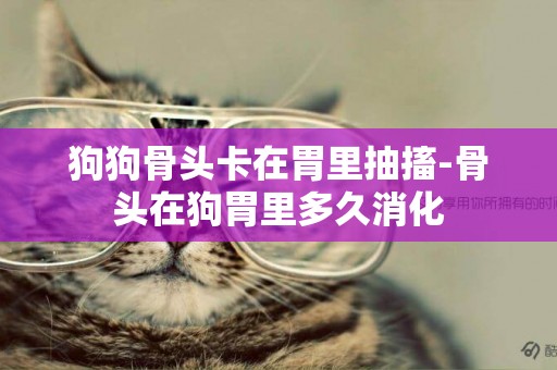 狗狗骨頭卡在胃里抽搐-骨頭在狗胃里多久消化