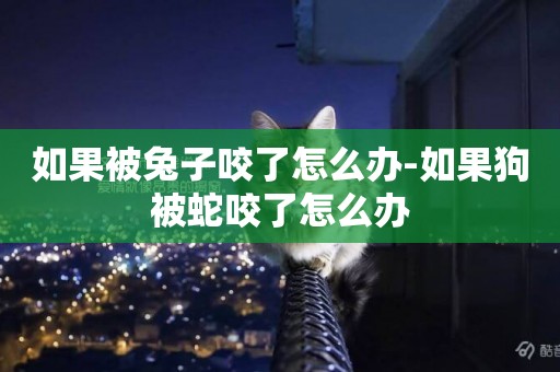 如果被兔子咬了怎么辦-如果狗被蛇咬了怎么辦