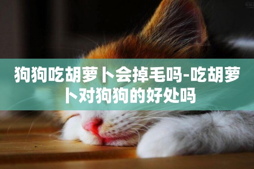 狗狗吃胡蘿卜會掉毛嗎-吃胡蘿卜對狗狗的好處嗎