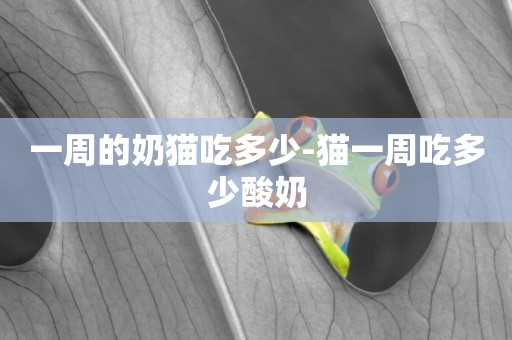 一周的奶貓吃多少-貓一周吃多少酸奶