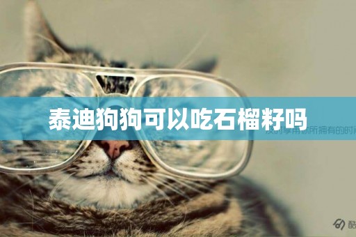 泰迪狗狗可以吃石榴籽嗎