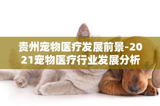 貴州寵物醫療發展前景-2021寵物醫療行業發展分析