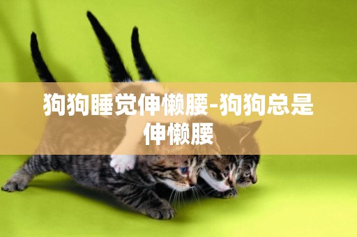 狗狗睡覺伸懶腰-狗狗總是伸懶腰