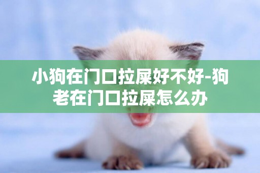 小狗在門口拉屎好不好-狗老在門口拉屎怎么辦