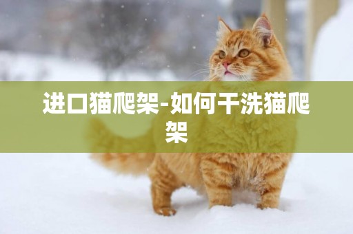 進口貓爬架-如何干洗貓爬架