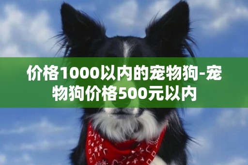 價格1000以內的寵物狗-寵物狗價格500元以內