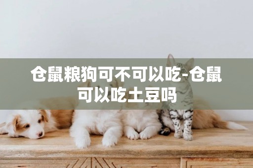 倉鼠糧狗可不可以吃-倉鼠可以吃土豆嗎