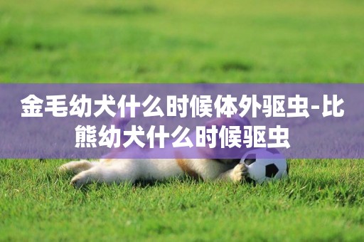 金毛幼犬什么時候體外驅蟲-比熊幼犬什么時候驅蟲