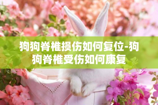 狗狗脊椎損傷如何復位-狗狗脊椎受傷如何康復