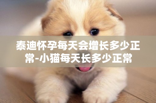泰迪懷孕每天會增長多少正常-小貓每天長多少正常