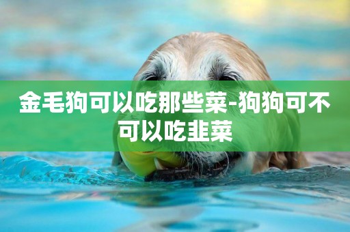 金毛狗可以吃那些菜-狗狗可不可以吃韭菜