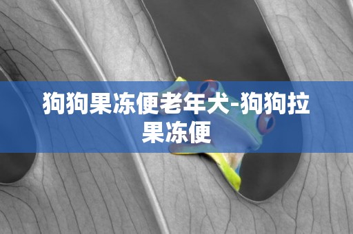 狗狗果凍便老年犬-狗狗拉果凍便