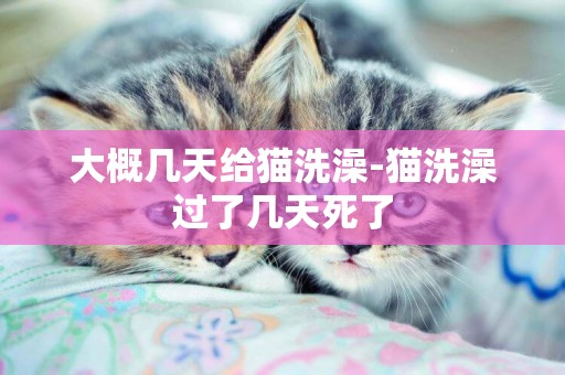 大概幾天給貓洗澡-貓洗澡過了幾天死了
