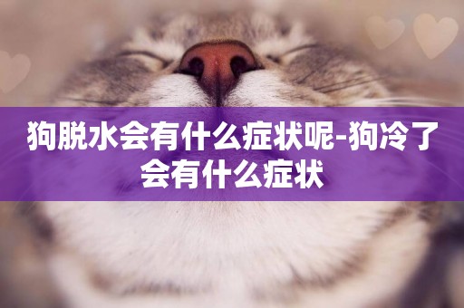 狗脫水會有什么癥狀呢-狗冷了會有什么癥狀