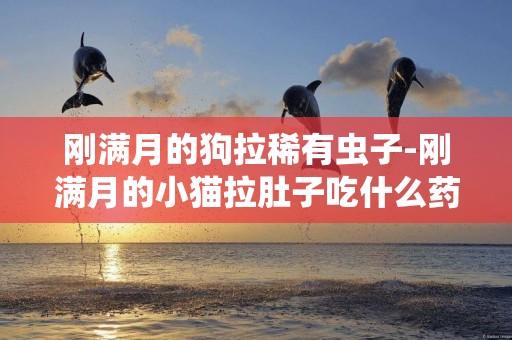 剛滿月的狗拉稀有蟲子-剛滿月的小貓拉肚子吃什么藥