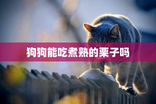 狗狗能吃煮熟的栗子嗎