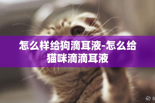 怎么樣給狗滴耳液-怎么給貓咪滴滴耳液