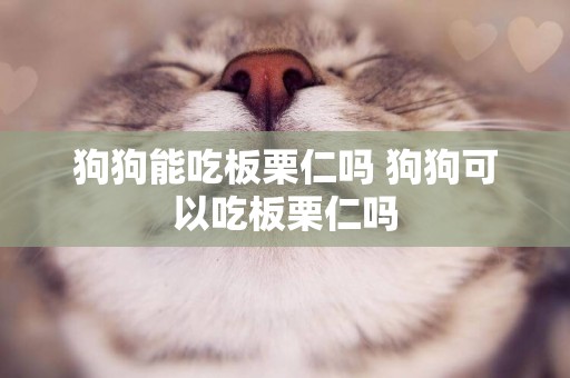 狗狗能吃板栗仁嗎 狗狗可以吃板栗仁嗎