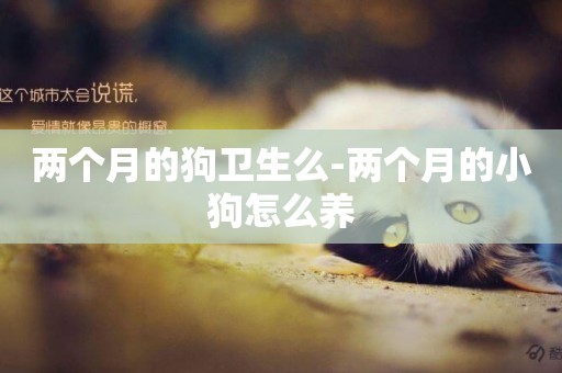 兩個月的狗衛生么-兩個月的小狗怎么養