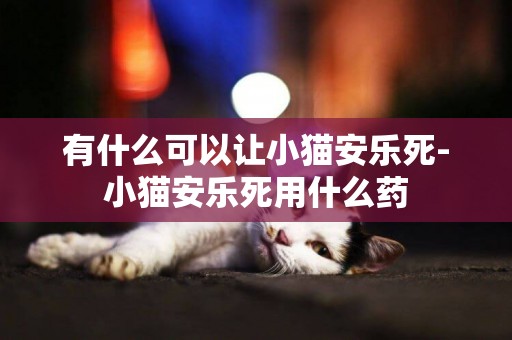 有什么可以讓小貓安樂死-小貓安樂死用什么藥