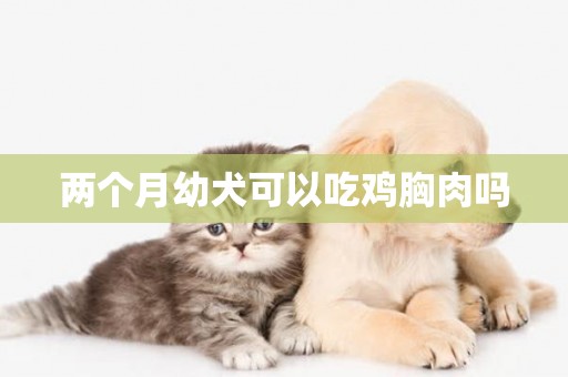 兩個月幼犬可以吃雞胸肉嗎