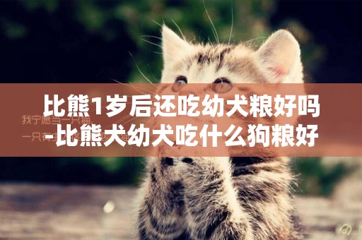 比熊1歲后還吃幼犬糧好嗎-比熊犬幼犬吃什么狗糧好