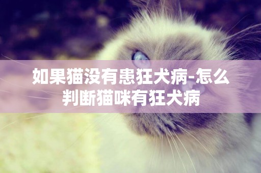 如果貓沒有患狂犬病-怎么判斷貓咪有狂犬病