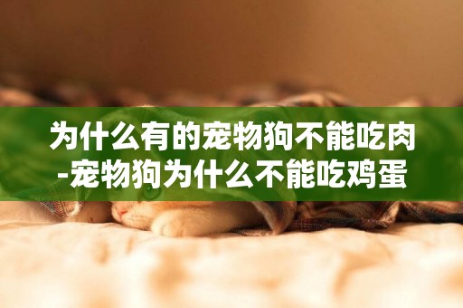 為什么有的寵物狗不能吃肉-寵物狗為什么不能吃雞蛋清