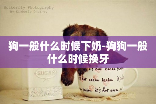 狗一般什么時候下奶-狗狗一般什么時候換牙