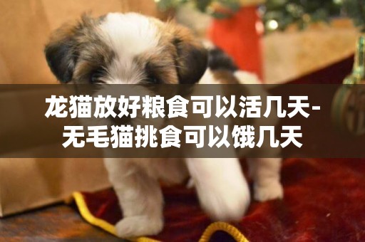 龍貓放好糧食可以活幾天-無毛貓挑食可以餓幾天