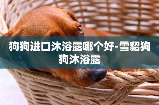 狗狗進口沐浴露哪個好-雪貂狗狗沐浴露