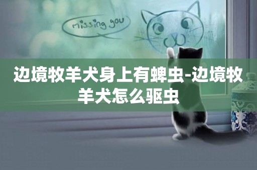 邊境牧羊犬身上有蜱蟲-邊境牧羊犬怎么驅蟲
