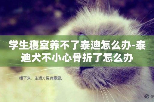 學生寢室養不了泰迪怎么辦-泰迪犬不小心骨折了怎么辦
