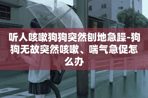 聽人咳嗽狗狗突然刨地急躁-狗狗無故突然咳嗽、喘氣急促怎么辦