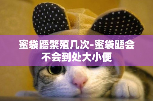 蜜袋鼯繁殖幾次-蜜袋鼯會不會到處大小便