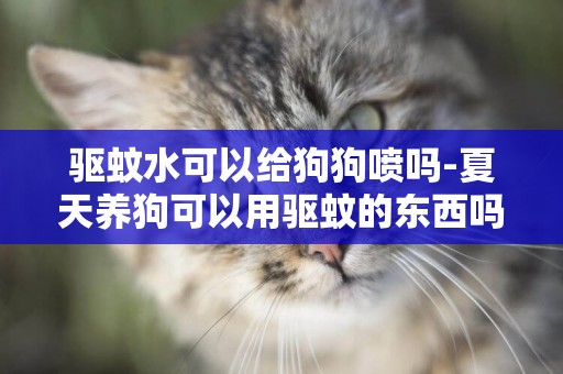驅蚊水可以給狗狗噴嗎-夏天養狗可以用驅蚊的東西嗎