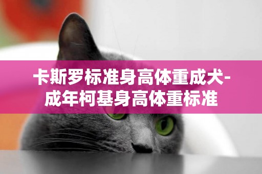 卡斯羅標準身高體重成犬-成年柯基身高體重標準