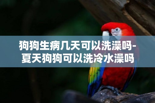 狗狗生病幾天可以洗澡嗎-夏天狗狗可以洗冷水澡嗎
