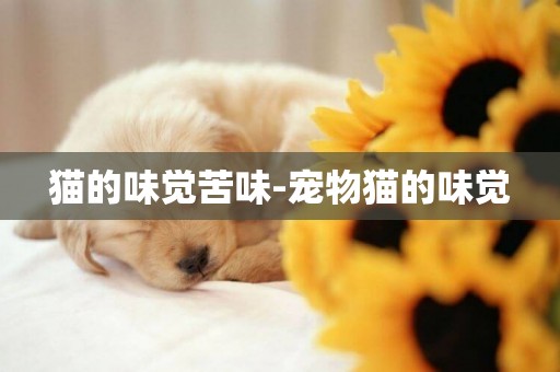 貓的味覺苦味-寵物貓的味覺
