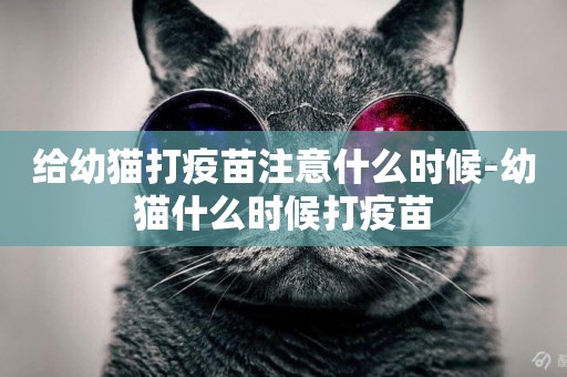 給幼貓打疫苗注意什么時候-幼貓什么時候打疫苗