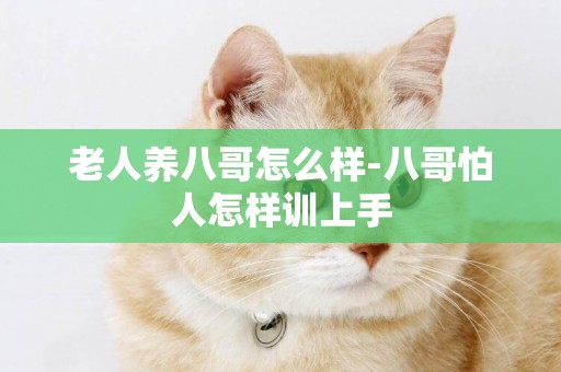 老人養八哥怎么樣-八哥怕人怎樣訓上手