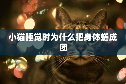 小貓睡覺時為什么把身體蜷成團