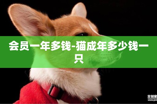 會員一年多錢-貓成年多少錢一只