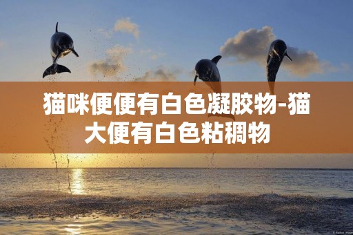 貓咪便便有白色凝膠物-貓大便有白色粘稠物