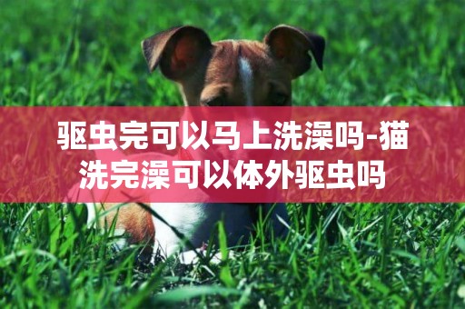 驅蟲完可以馬上洗澡嗎-貓洗完澡可以體外驅蟲嗎