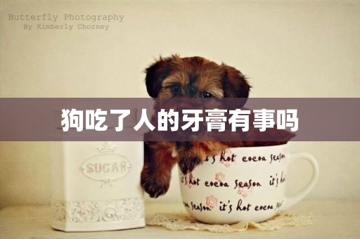 狗吃了人的牙膏有事嗎