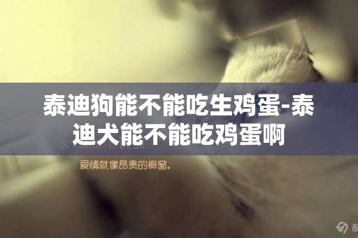 泰迪狗能不能吃生雞蛋-泰迪犬能不能吃雞蛋啊